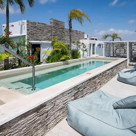 New Port Calidez Y Estilo En Armonia Apartment
